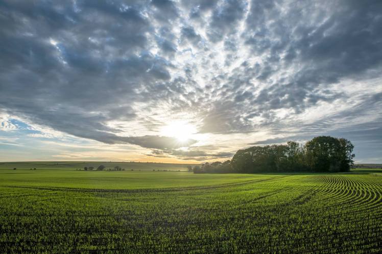 AJ-26 Oct 17-green and pleasant land