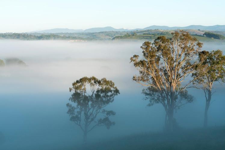 AJ-FB-16 Dec 16-strong love of grey-blue distance